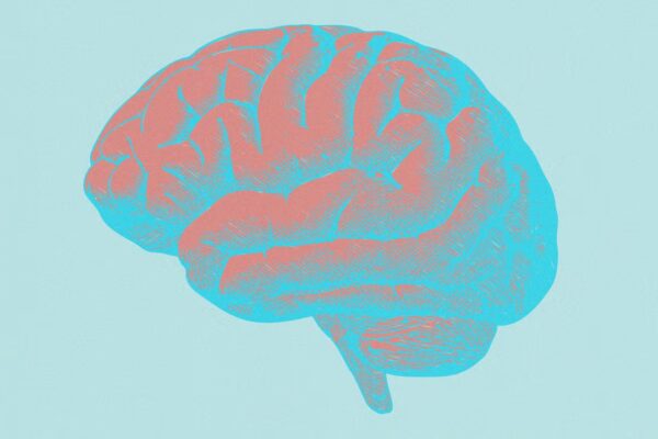 Ejercita tu cerebro durante 5 a 10 minutos al día y mejora tu salud mental, según un nuevo estudio.