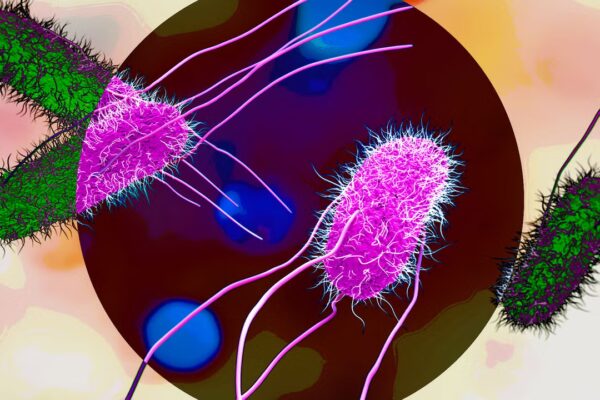 Aumentan los casos de Salmonella en EE.UU.: Más de 30 estados afectados y productos que se deben evitar