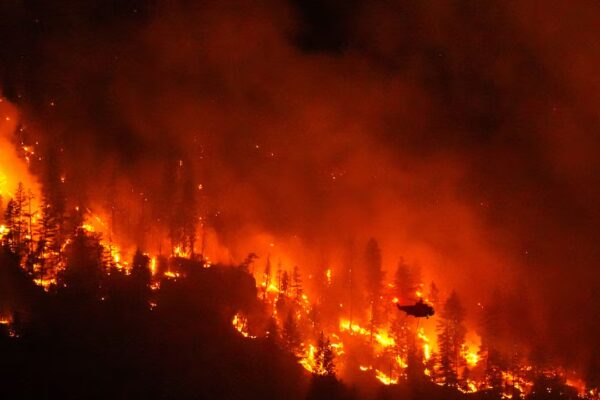 Estudio revela la verdadera causa de los incendios forestales en Canadá, rebatido el argumento de mala gestión de Trump.