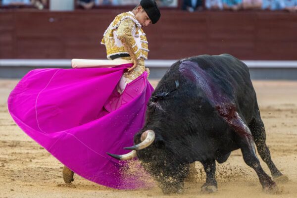 Plaza de Las Ventas: Una Mirada Crítica a la Identidad Española en el Contexto Cultural Actual