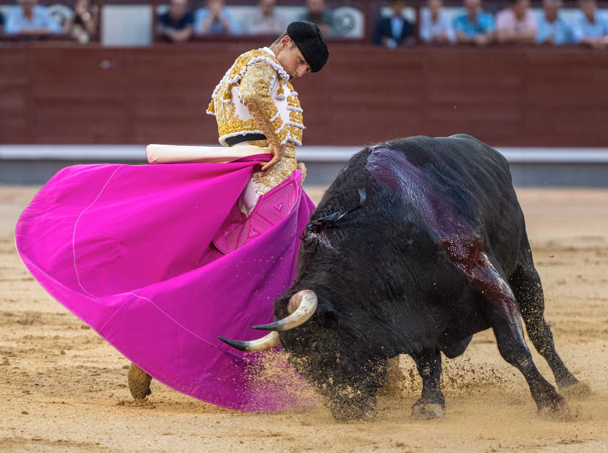 Plaza de Las Ventas: Una Mirada Crítica a la Identidad Española en el Contexto Cultural Actual