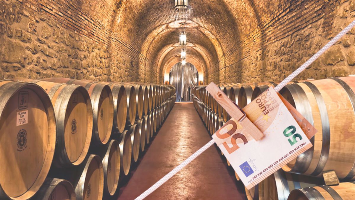 Vintae adquiere Bodegas Riojanas y revela un desfase contable de 8,6 millones de euros