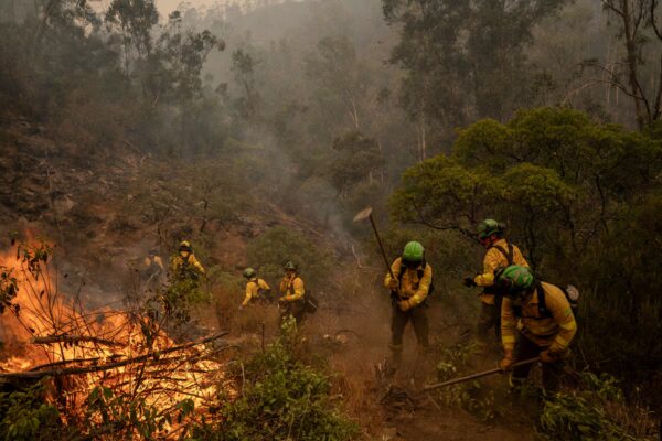 Incendio en Niebla, Huelva: 467 evacuados mientras las llamas arrasan 8,000 hectáreas en España
