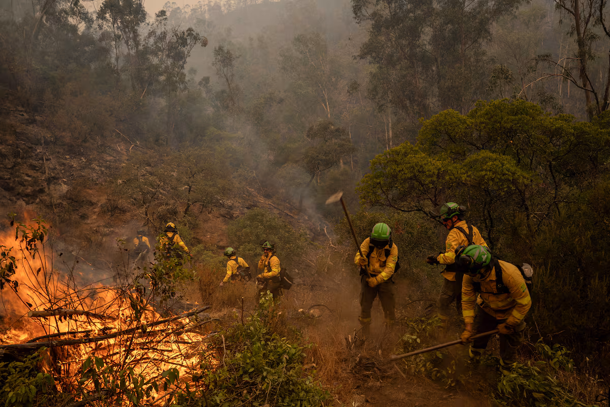Incendio en Niebla, Huelva: 467 evacuados mientras las llamas arrasan 8,000 hectáreas en España