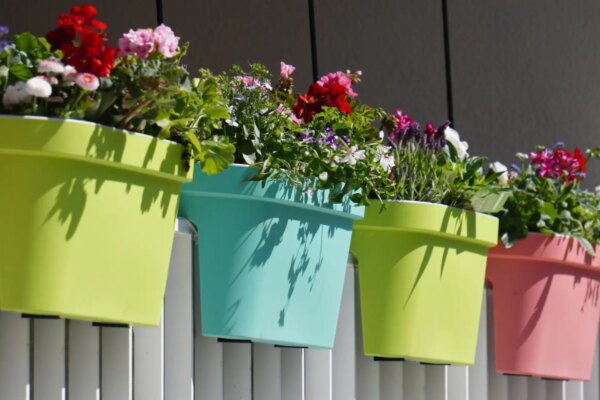 Ley de Propiedad Horizontal: Razones por las que te pueden exigir retirar las plantas de tu balcón