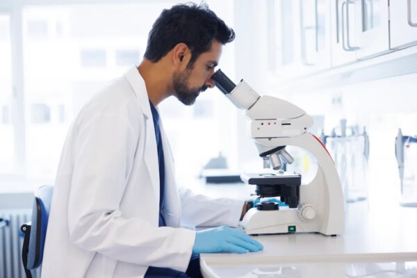 Inteligencia Artificial Crea 16 Nuevos Virus Nunca Antes Detectados en la Naturaleza