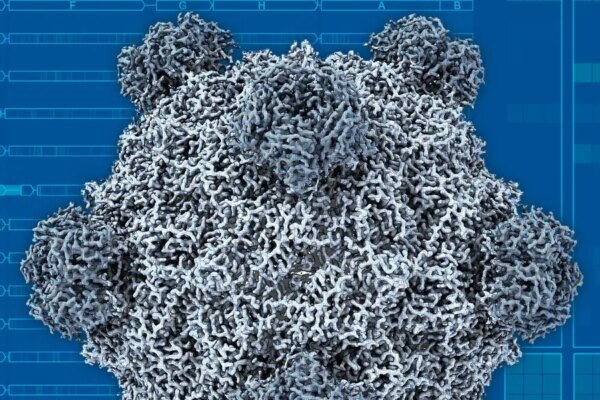 La inteligencia artificial logra crear virus funcionales innovadores.