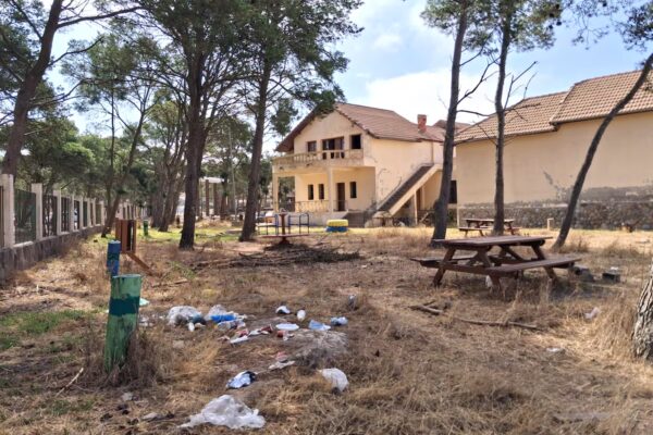 El Gurugú se queda solo con monos: un cambio en su ecosistema en España