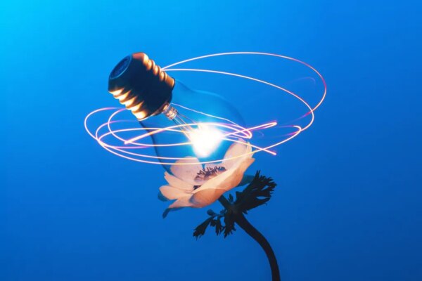 La Innovación Actual: La Clave es la Resiliencia, No Solo la Velocidad