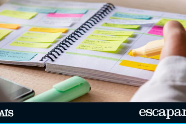 Organiza tu espacio de trabajo con un innovador set de subrayadores y soporte para mantener el orden en tu escritorio