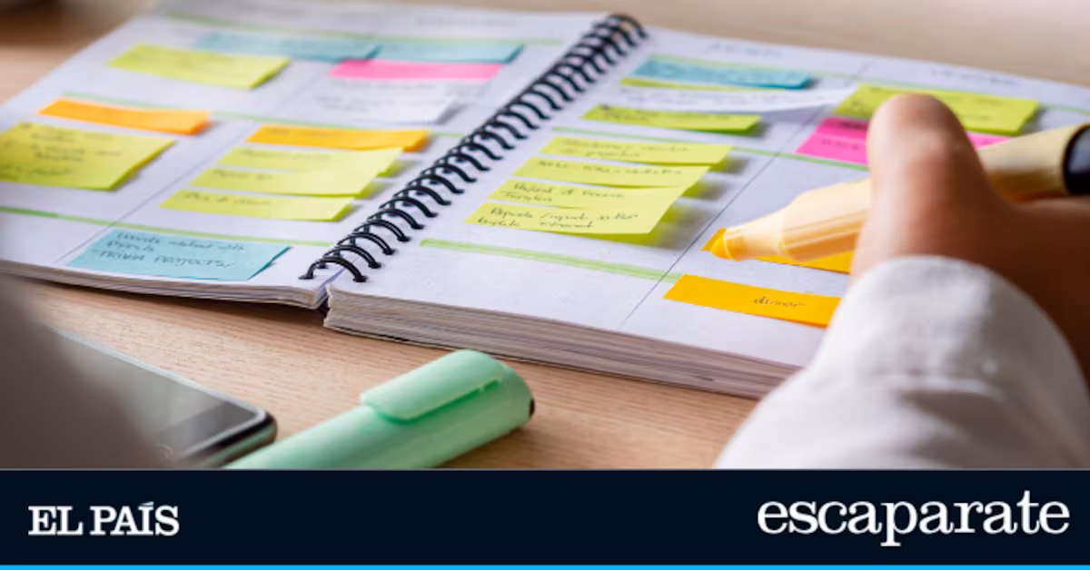 Organiza tu espacio de trabajo con un innovador set de subrayadores y soporte para mantener el orden en tu escritorio