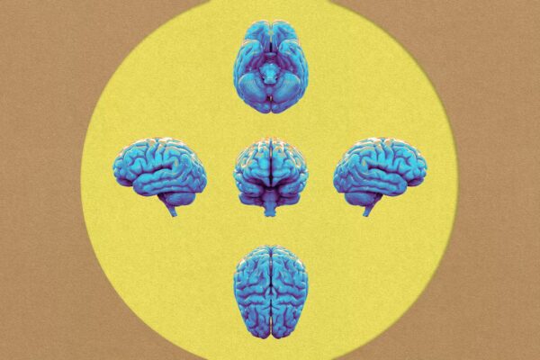 Cinco estrategias respaldadas por la neurociencia para optimizar la productividad en reuniones