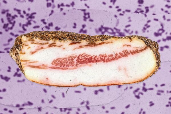 Retiro de carne de cerdo en 8 estados: 1,500 libras podrían estar contaminadas con bacterias peligrosas.