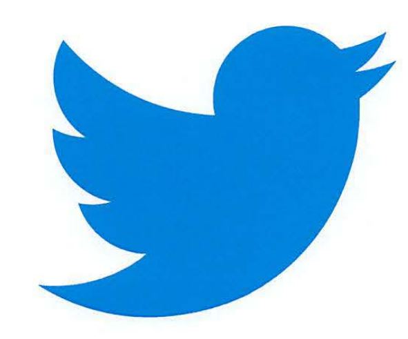 El logo de Twitter y el nombre "Tweet" entran al dominio público, pero X sigue controlando la marca TWITTER.