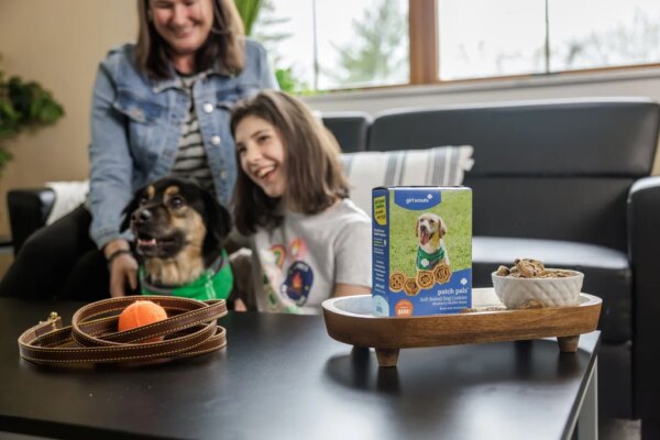Las Girl Scouts lanzan nuevas opciones de galletas en línea ante el aumento de precios