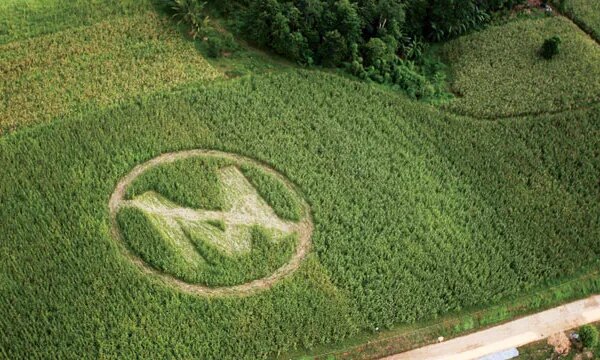 Monsanto y su controvertido monopolio en la agricultura estadounidense: Impactos y riesgos para los productores