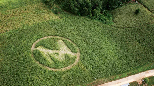 Monsanto y su controvertido monopolio en la agricultura estadounidense: Impactos y riesgos para los productores