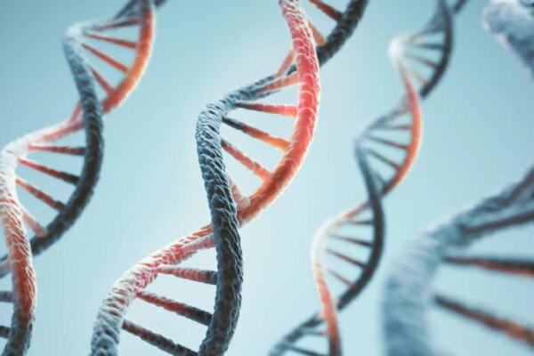 Anthropic lanza un laboratorio para investigar experimentos biológicos en inteligencia artificial
