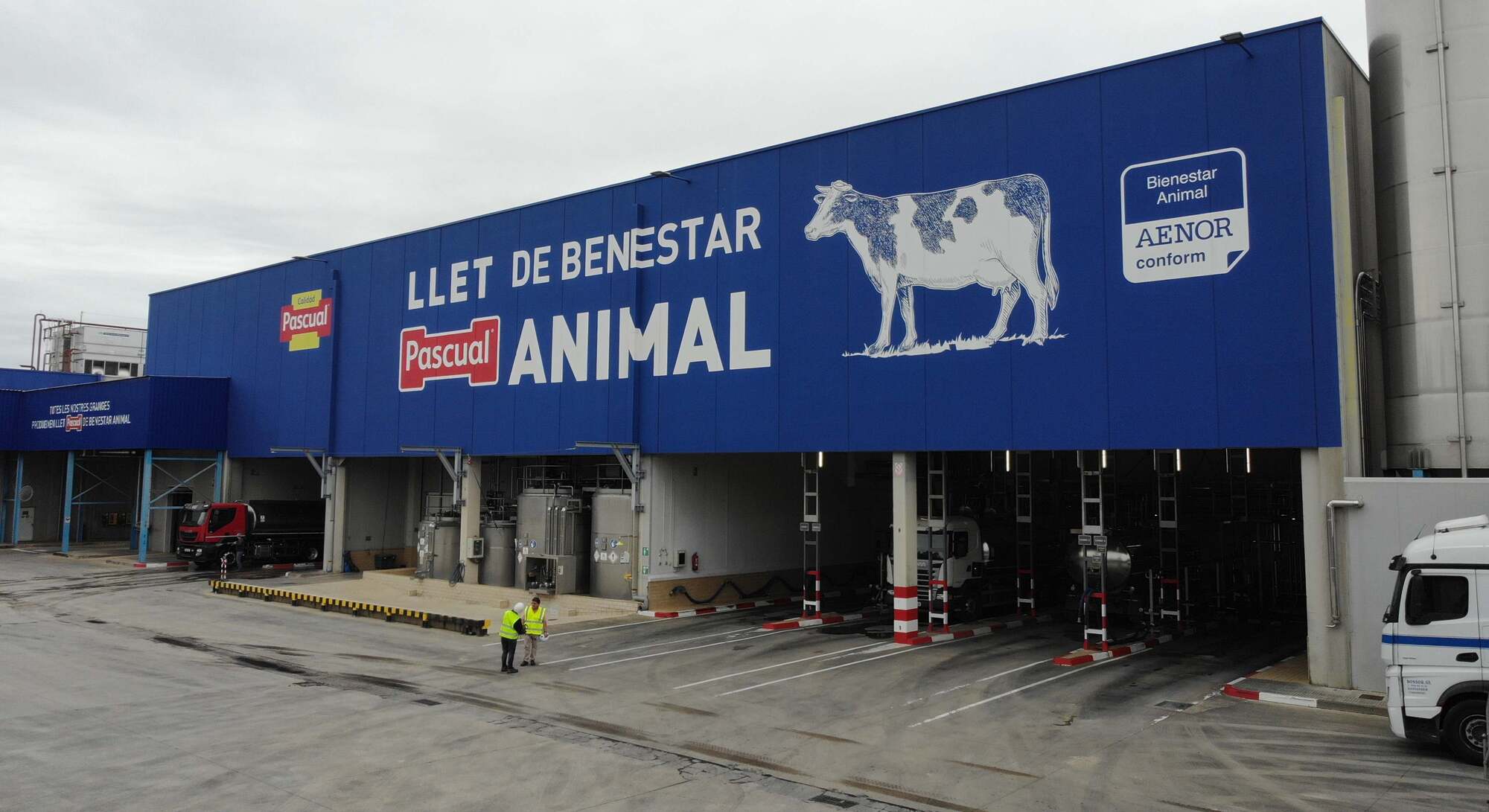 Pascual incorpora a la exdirectora de Ikea España en su consejo de administración