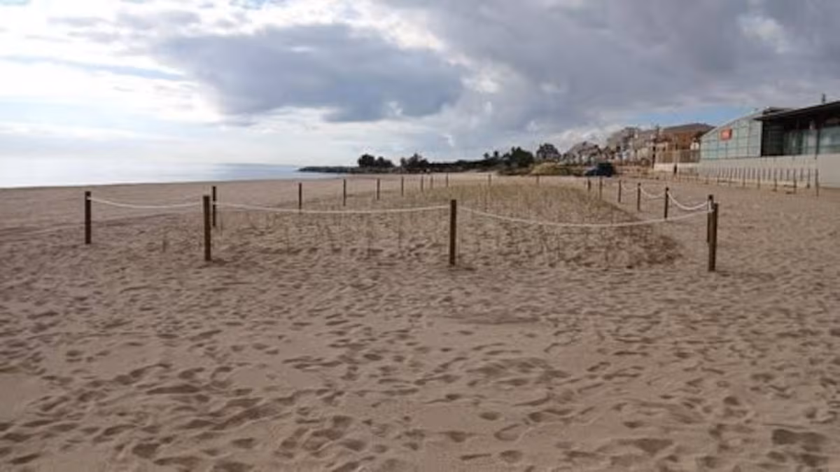 Hallan el cuerpo sin vida de una mujer en la playa de Vilassar de Mar en Cataluña