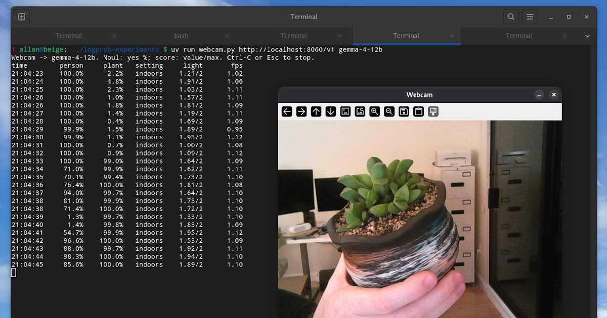Un contenedor estilo Jev para modelos de lenguaje y visión AI