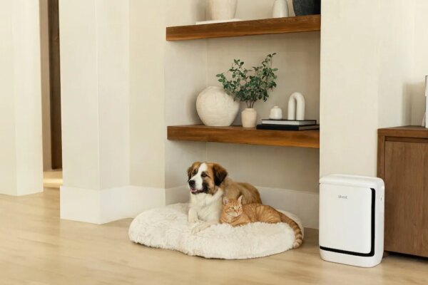 El nuevo purificador de aire de Levoit elimina los olores a mascotas en tu hogar