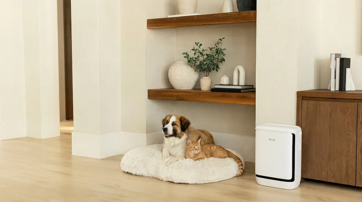 El nuevo purificador de aire de Levoit elimina los olores a mascotas en tu hogar