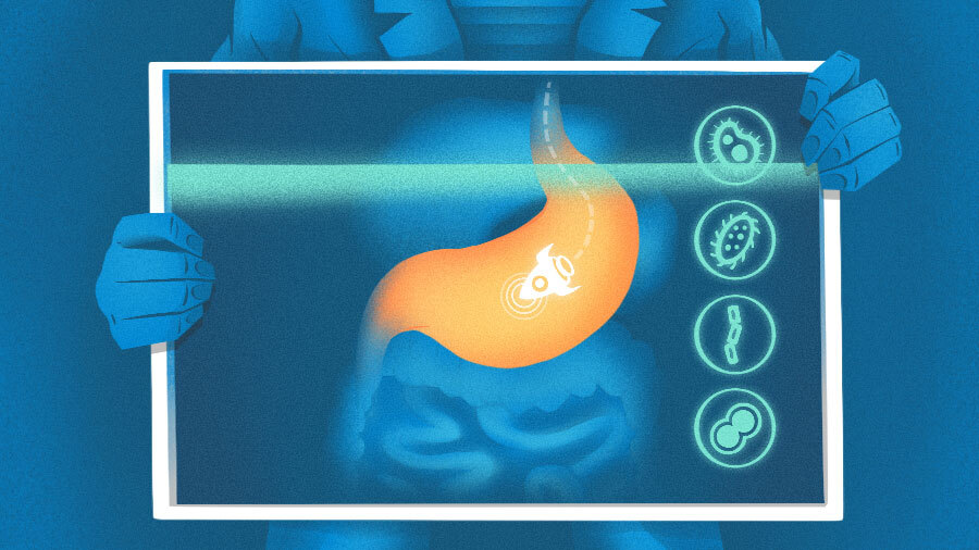 Tiny Health obtiene $33 millones para investigar el impacto de los datos intestinales en la salud futura.