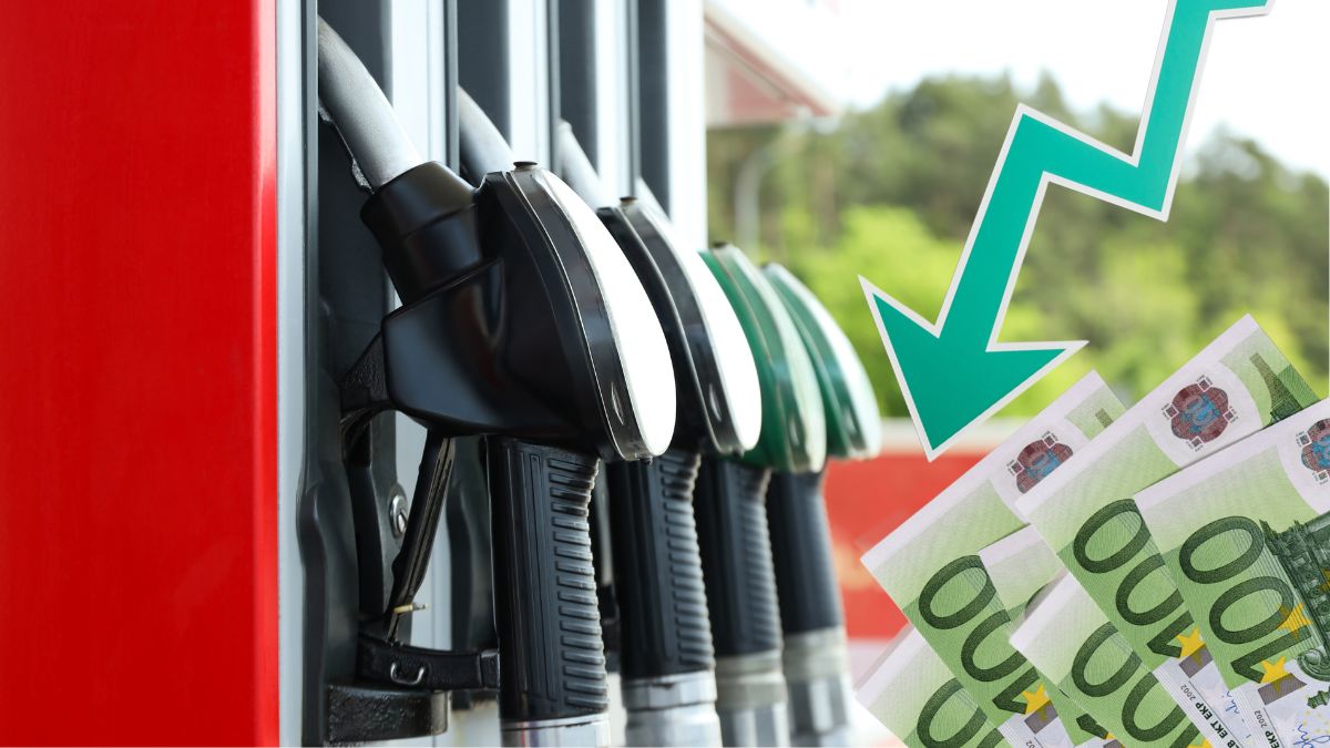 Empresas privadas presentan estrategias para reducir el costo del diésel y la gasolina.