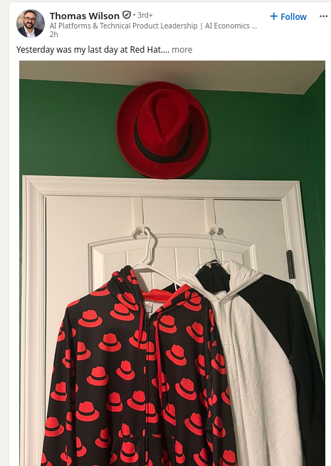 Red Hat enfrenta un futuro incierto tras la adquisición de IBM: tendencias en la consolidación empresarial.