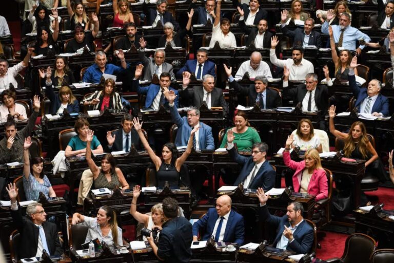 La oposición se prepara para votar en Diputados contra el megadecreto de Milei.