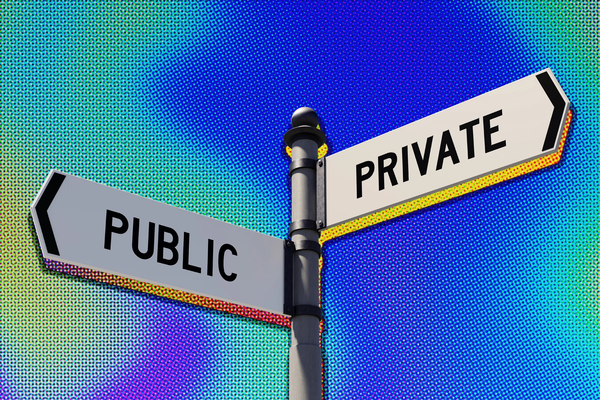 ¿Las Empresas Privadas Superan a las Públicas en Ventajas Competitivas?