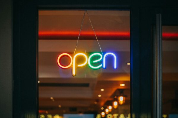Alternativas viables a OpenAI y Anthropic en el mundo de la inteligencia artificial