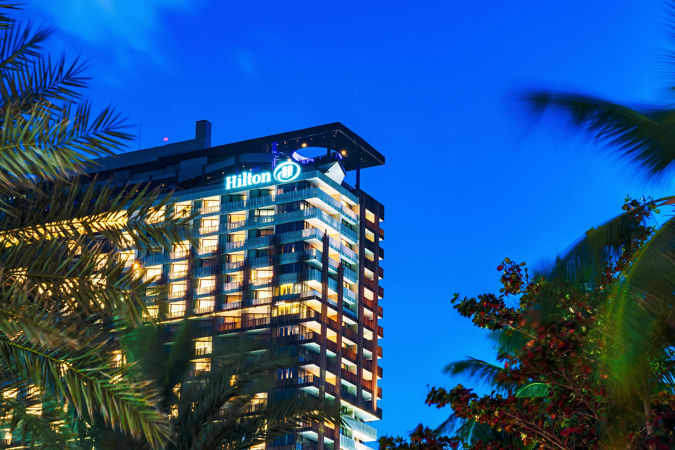 Hilton Implementa IA para Eliminar Intermediarios en el Sector Turístico: ¿Cómo Afectará a los Viajeros?