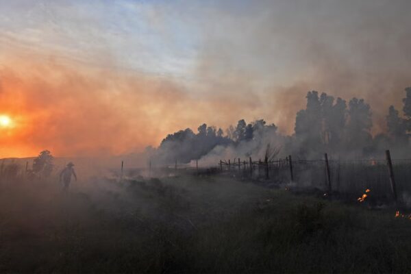 El 50% de la población mundial, afectada simultáneamente por olas de calor y humo de incendios forestales