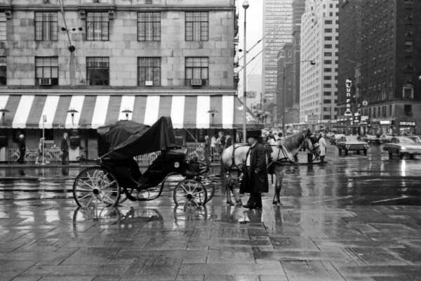Cronología del intento de Nueva York por prohibir los carruajes de caballos en Central Park