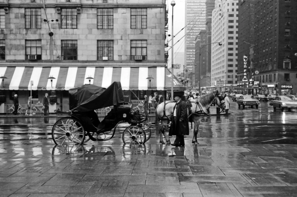 Cronología del intento de Nueva York por prohibir los carruajes de caballos en Central Park