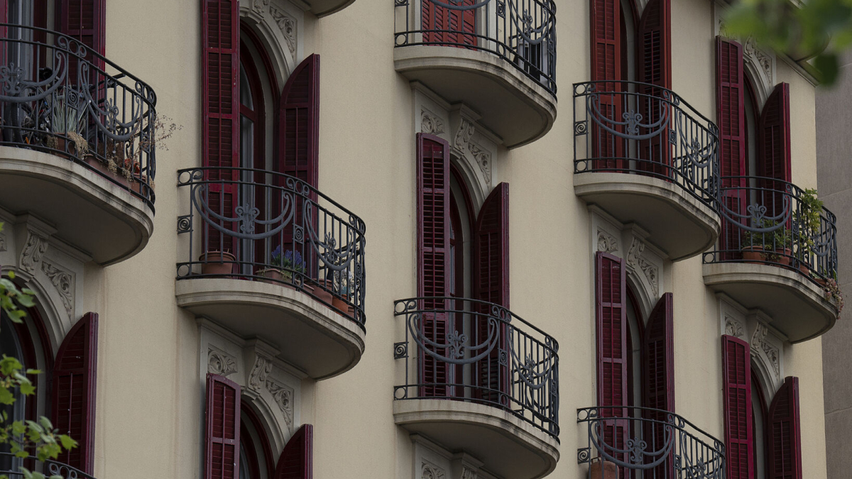 Precios del mercado en las principales ciudades: un análisis actualizado