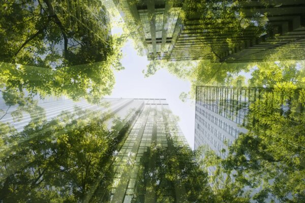 Ocho de cada diez empresas en España consideran que la sostenibilidad potencia su competitividad empresarial