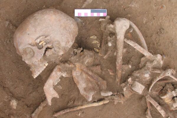 El legado genético romano perdura en la Península Ibérica tras las invasiones visigodas