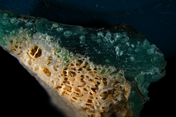Nueva forma de contaminación plástica hallada en costas de arrecifes de coral amenazados