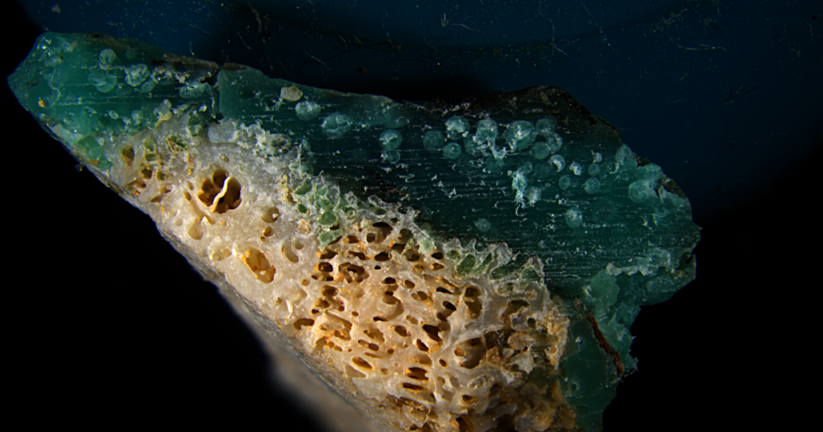 Nueva forma de contaminación plástica hallada en costas de arrecifes de coral amenazados