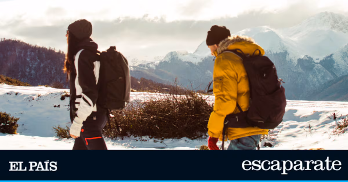 Prepárate para el invierno: descubre las mejores ofertas en ropa técnica de Helly Hansen antes del Black Friday