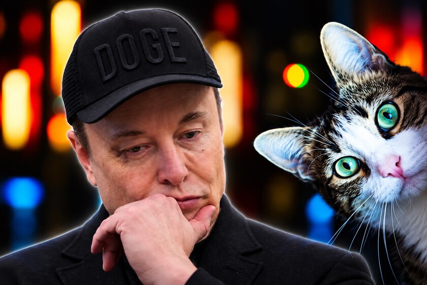 Tesla se esfuerza por garantizar la seguridad de los gatos grises con su tecnología de robotaxis, según Elon Musk.