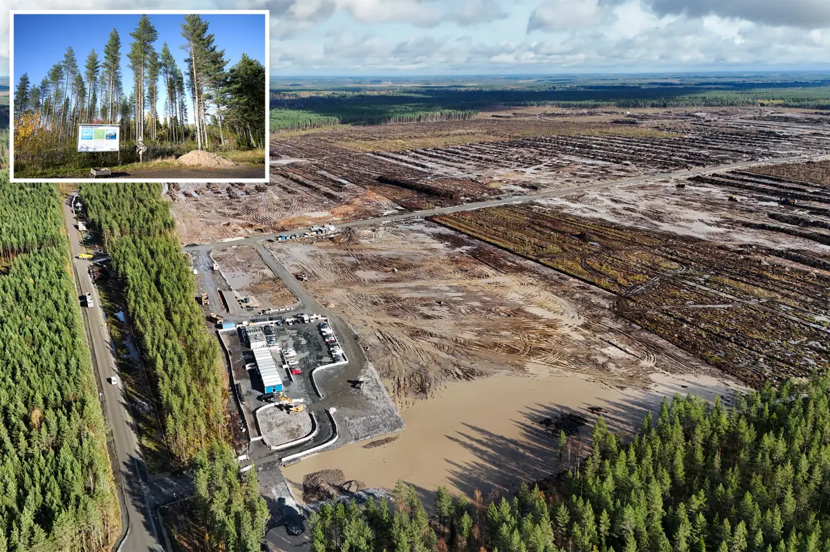 Google desmantela ilegalmente 250,000 árboles para centro de datos en Finlandia, generando descontento entre la población.