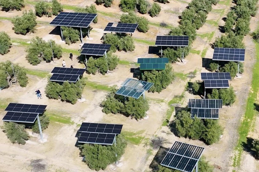 Innovadora instalación de más de 5.150 paneles solares en olivar de Jaén, permitiendo el paso de la maquinaria agrícola.